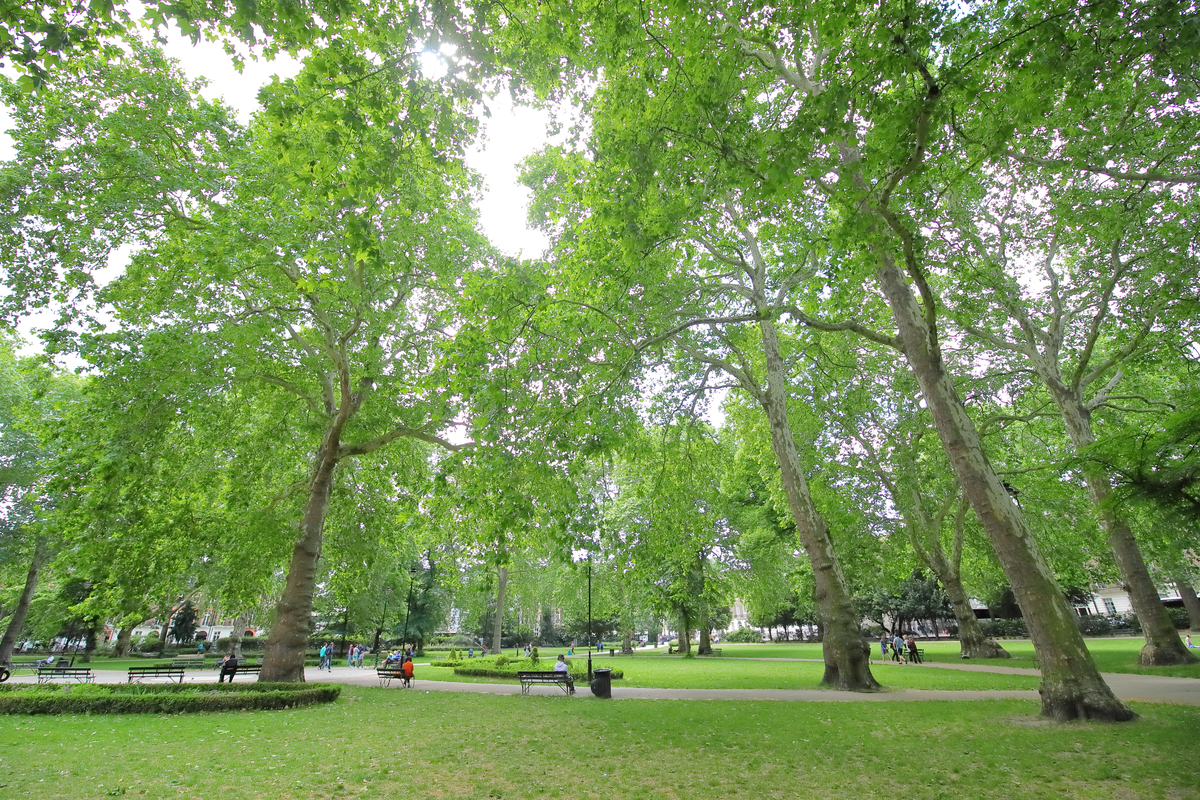 Russell Square Gardens